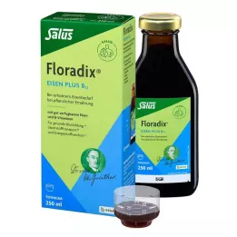 FLORADIX Veganiškas tonikas Geležis plius B12, 250 ml