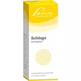 SOLIDAGO SIMILIAPLEX Lašai, 50 ml