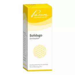 SOLIDAGO SIMILIAPLEX Lašai, 50 ml