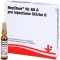 NEYCHON Nr.68 A pro injectione stiprumas 2 ampulės, 5X2 ml