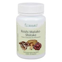 REISHI-MAITAKE-Sveikoms ląstelėms naudingos Shitake kapsulės, 60 vnt