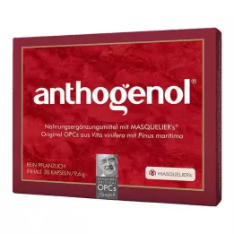 ANTHOGENOL Masquelier OPC Kapsulės, 30 vnt