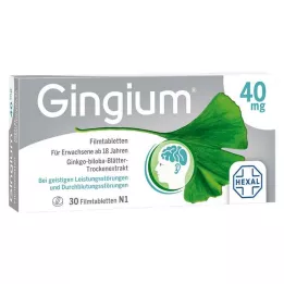 GINGIUM Plėvele dengtos tabletės, 30 vnt