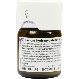 FERRUM HYDROXYDATUM 5% tritūracija, 50 g