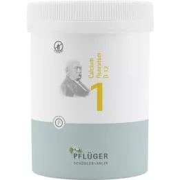 BIOCHEMIE Pflüger 1 Calcium fluoratum D 12 tablečių, 1000 vnt