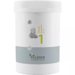 BIOCHEMIE Pflüger 1 Calcium fluoratum D 12 tablečių, 4000 vnt