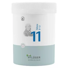 BIOCHEMIE Pflüger 11 Silicea D 12 tablečių, 1000 kapsulių