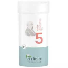 BIOCHEMIE Pflüger 5 Potassium phosphoricum D 6 milteliai, 100 g