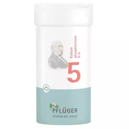 BIOCHEMIE Pflüger 5 Potassium phosphoricum D 6 milteliai, 100 g