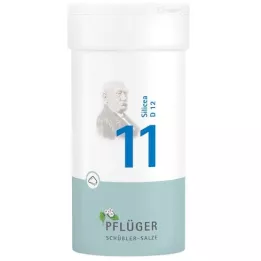 BIOCHEMIE Pflüger 11 Silicea D 12 milteliai, 100 g