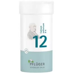 BIOCHEMIE Pflüger 12 Calcium sulfuricum D 6 milteliai, 100 g