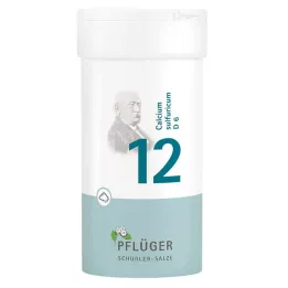 BIOCHEMIE Pflüger 12 Calcium sulfuricum D 6 milteliai, 100 g