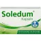 SOLEDUM 100 mg skrandyje neirios kapsulės, 100 vnt