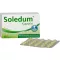 SOLEDUM 100 mg skrandyje neirios kapsulės, 100 vnt