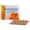 ANGOCIN Anti Infekt N plėvele dengtos tabletės, 200 vnt