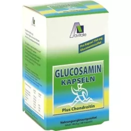 GLUCOSAMIN 750 mg + chondroitinas 100 mg kapsulės, 180 kapsulių