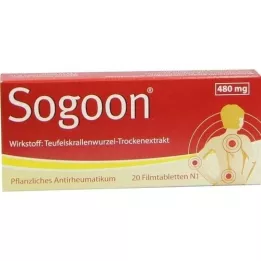 SOGOON 480 mg plėvele dengtos tabletės, 20 vnt