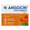 ANGOCIN Antiinfekcinės N plėvele dengtos tabletės, 100 vnt