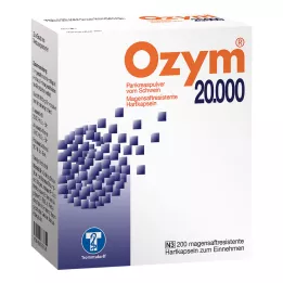OZYM 20 000 kietųjų kapsulių su enteriniu apvalkalu, 200 vnt