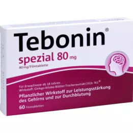 TEBONIN specialios 80 mg plėvele dengtos tabletės, 60 vnt