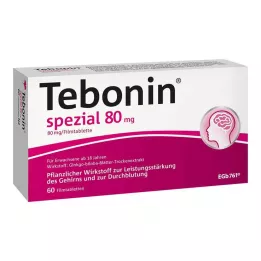 TEBONIN specialios 80 mg plėvele dengtos tabletės, 60 vnt