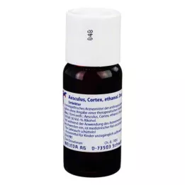AESCULUS CORTEX eterinio nuoviro motininė tinktūra D 1, 50 ml