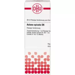 ACTAEA SPICATA D 6 skiedinys, 20 ml