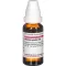 ACTAEA SPICATA D 6 skiedinys, 20 ml