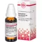 APOMORPHINUM HYDROCHLORICUM D 6 skiedinys, 20 ml