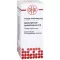 APOMORPHINUM HYDROCHLORICUM D 6 skiedinys, 20 ml