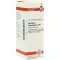 CAUSTICUM HAHNEMANNI C 30 skiedinys, 20 ml