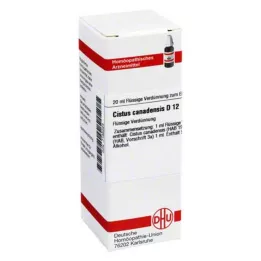 CISTUS CANADENSIS D 12 skiedinys, 20 ml
