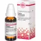 ERIGERON CANADENSIS D 6 skiedinys, 20 ml