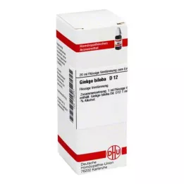 GINKGO BILOBA D 12 skiedinys, 20 ml