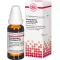 HARPAGOPHYTUM PROCUMBENS C 30 skiedinys, 20 ml