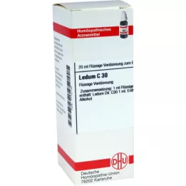 LEDUM C 30 skiedinys, 20 ml