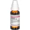 PALLADIUM METALLICUM D 8 skiedinys, 20 ml