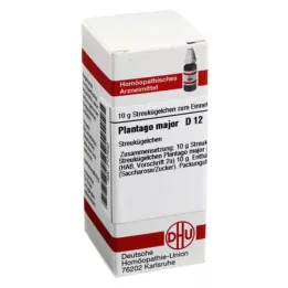 PLANTAGO MAJOR D 12 rutuliukų, 10 g