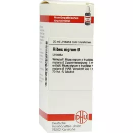 RIBES NIGRUM Motininė tinktūra, 20 ml
