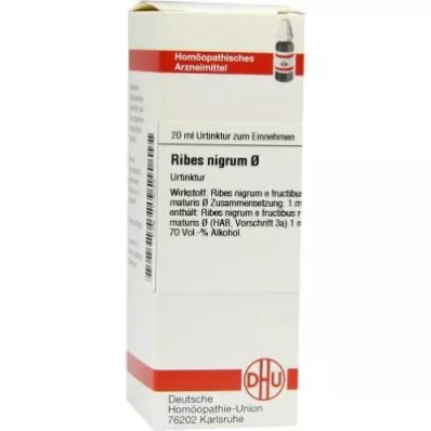 Ribes Nigrum motininė tinktūra (20 ml) Ribes Nigrum motininė tinktūra (20 ml)