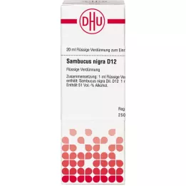 SAMBUCUS NIGRA D 12 skiedinys, 20 ml