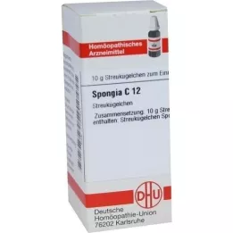 SPONGIA C 12 rutuliukų, 10 g