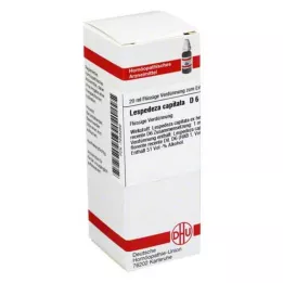 DHU Lespedeza capitata D 6 Skiedimas, 20 ml