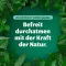 Bronchoforton® tepalas, 100 g