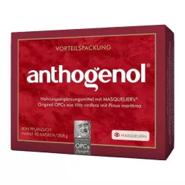 OPC ORIGINAL Masqueliers Anthogenol kapsulės, 90 kapsulių