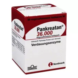 Pankreatan 36 000 skrandyje neirių kapsulių, 50 vnt