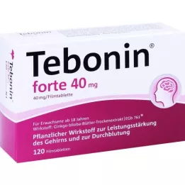TEBONIN forte 40 mg plėvele dengtos tabletės, 120 vnt
