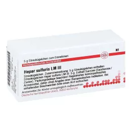 TEBONIN forte 40 mg plėvele dengtos tabletės, 120 vnt