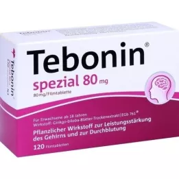 TEBONIN specialios 80 mg plėvele dengtos tabletės, 120 vnt