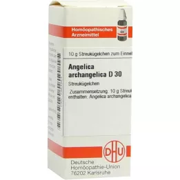 ANGELICA ARCHANGELICA D 30 rutuliukų, 10 g